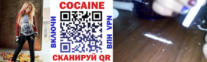 Cocaine Fish Scale  Купить закладки  Красногорск