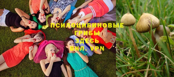 МДПВ Новодвинск