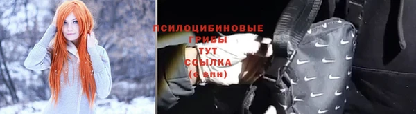 дмт Новокубанск